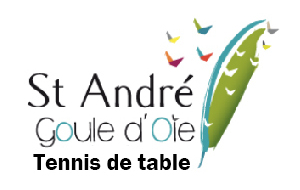 D4.6 : St André Goule d'Oie / Roche Vendée 7