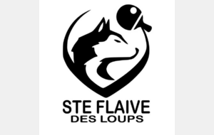 D4.5 - Ste Flaive des Loups / TTRV8