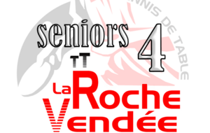 D2.1 : Roche Vendée4 /Nieul le Dolent
