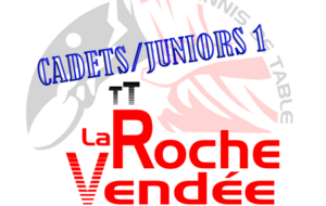 Cad/Jun D2 : Roche Vendée1 exempt