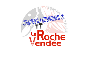 Cad/Jun D2 : Roche Vendée 3 / Bernardière