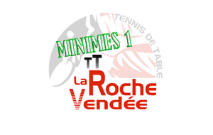 Minimes D2 : Roche Vendée 1  / Jard sur mer1