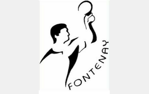 D4-1 : Fontenay 5 / Roche Vendée 8 