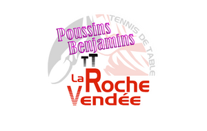 Equipe Pousins/Benjamins Roche Vendée