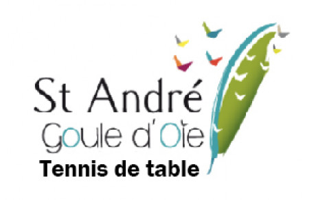 ST ANDRE GOULE D OIE